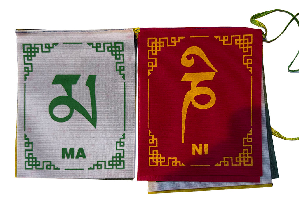Prayer Flag - Lungta Big